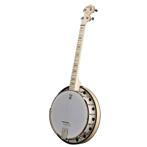 Deering Goodtime Two, 19-fret Tenor Banjo