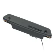 Fishman Rare Earth Humbucking Pickup