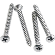 Fender neck mounting screws, 4 stk