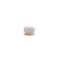 Godin Machine Head Button White Pearl Plastic