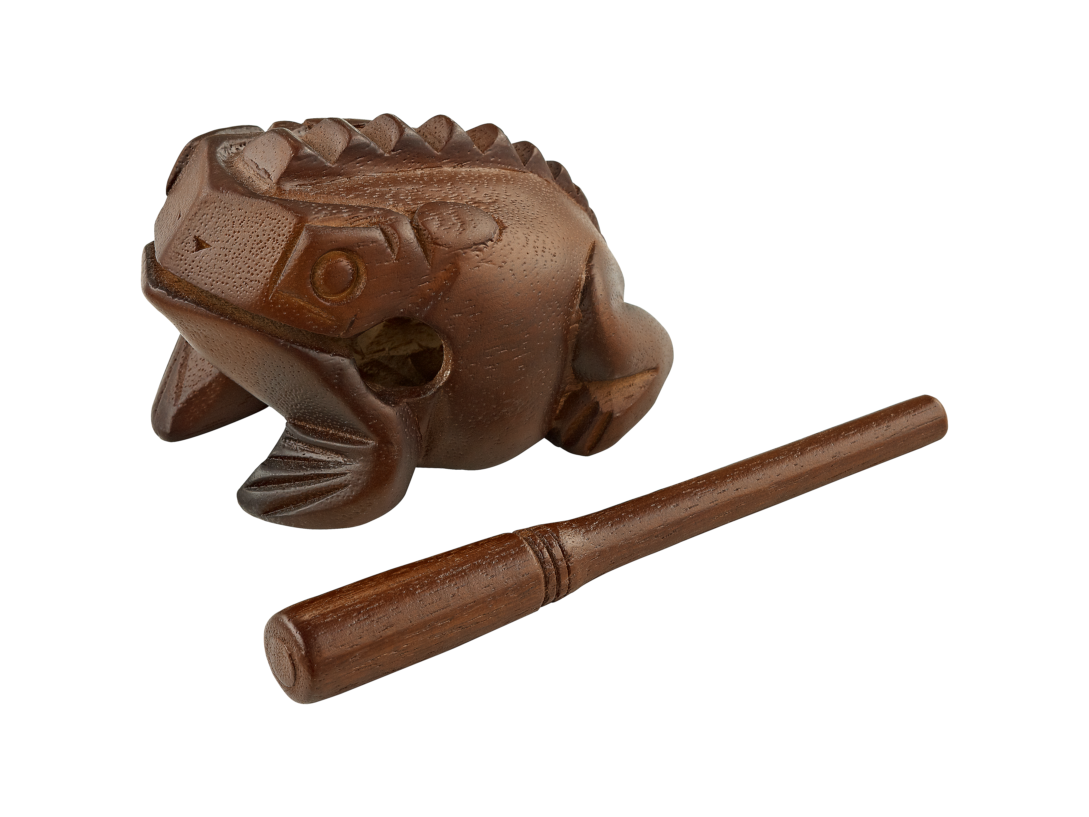 MEINL Frog, miðlungsstór