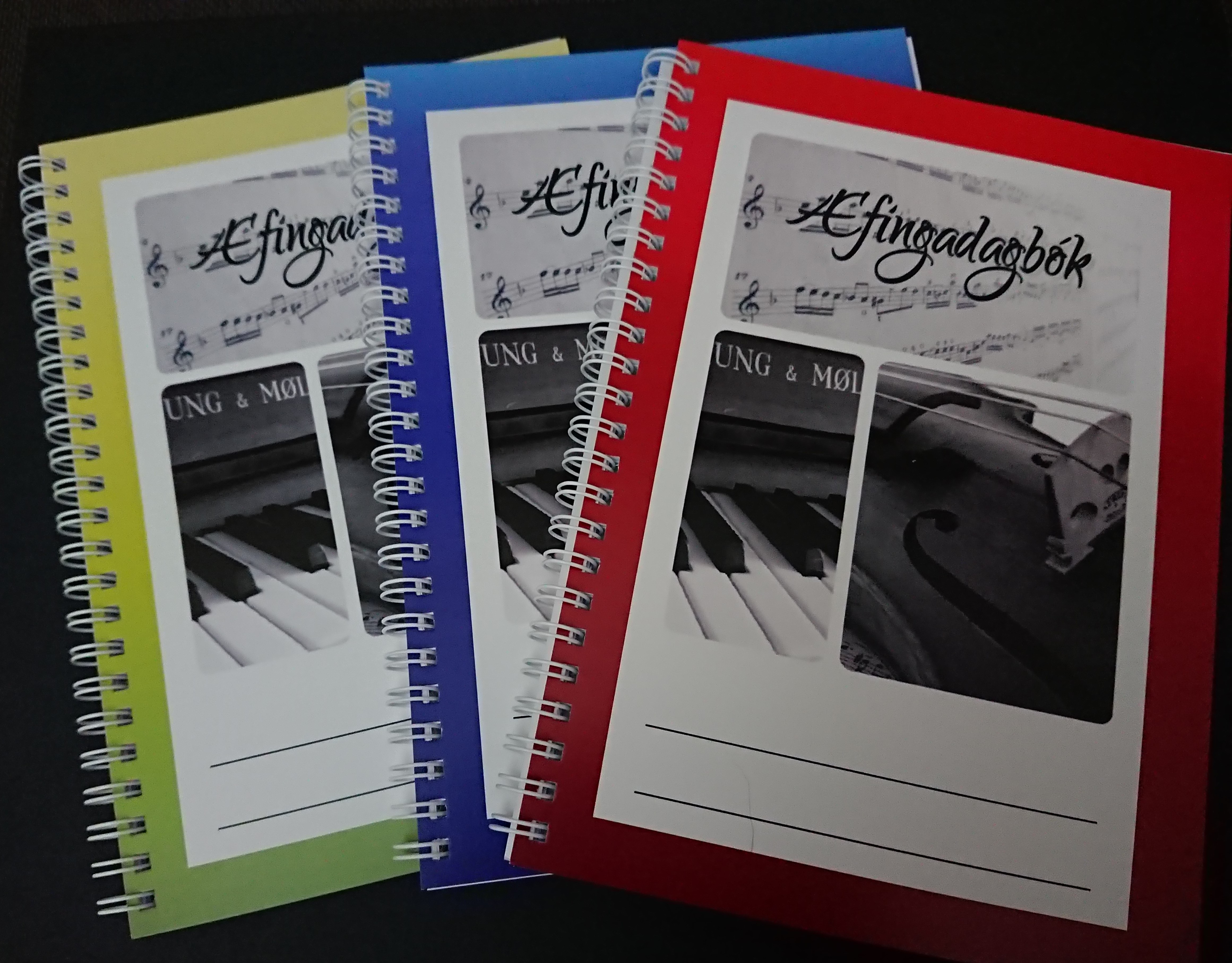 Æfingadagbók fyrir tónlistarnemendur