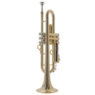 P-Trumpet Hytech, gylltur