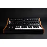 Moog Subsequent 25