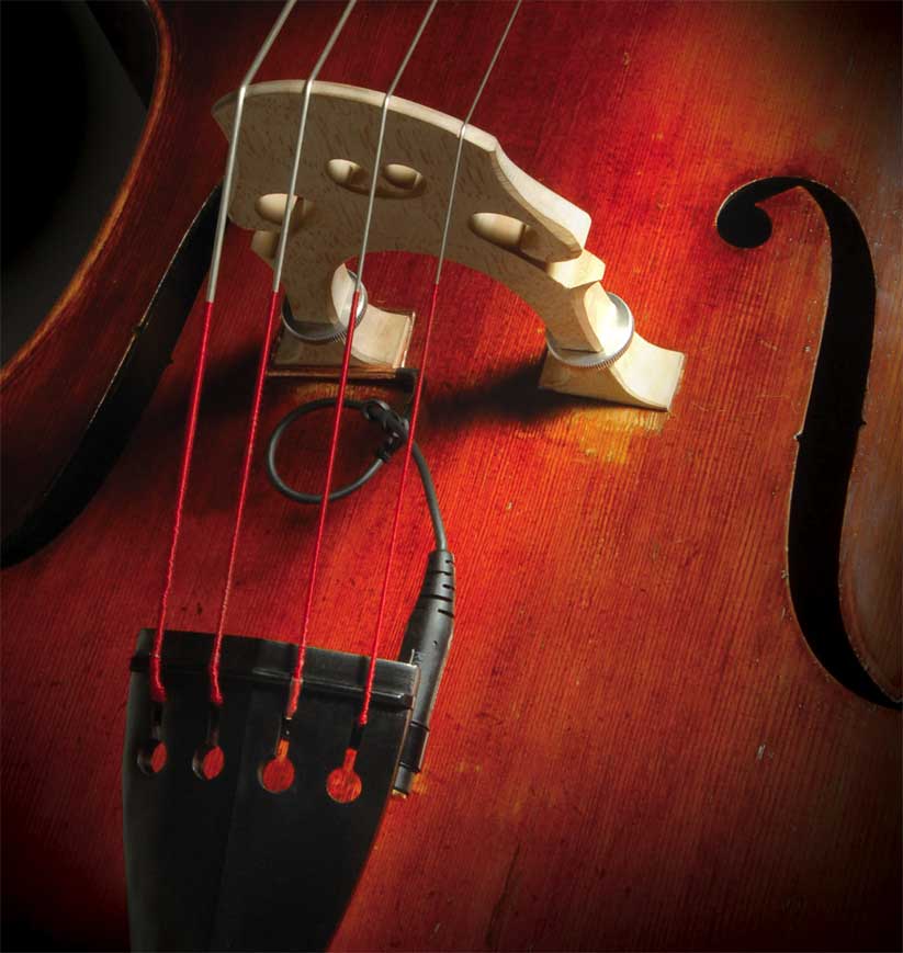 Realist pickup fyrir Kontrabassa