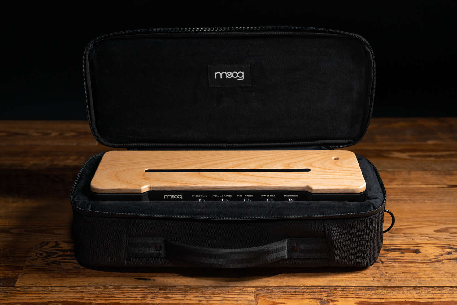 Moog SR Series Case , Etherwave Theremin