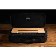 Moog SR Series Case , Etherwave Theremin