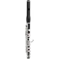 Jupiter JPC1100E Piccolo