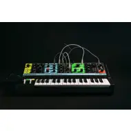 Moog Grandmother