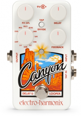EHX Canyon, Delay and Looper