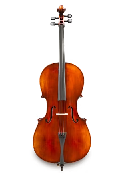 Andreas Eastman Model  VC305 selló, 4/4, án kassa og boga