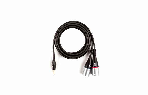 D'Addario 1/8" to dual XLR Audio Cable