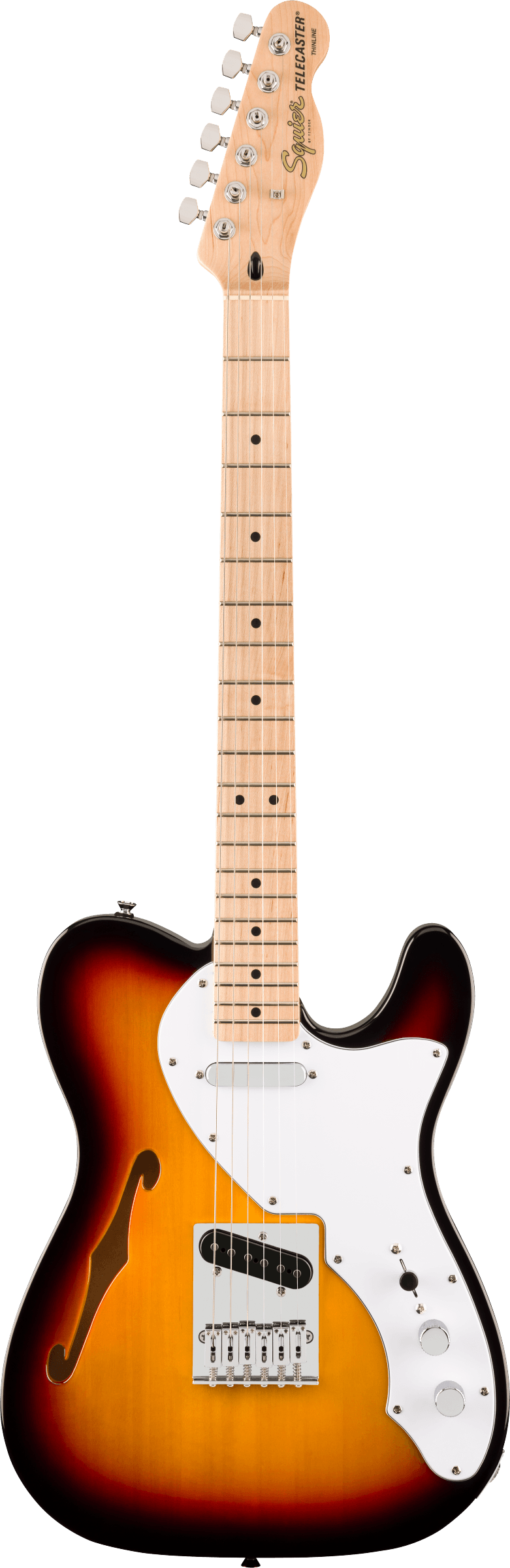 Squier Affinity Series Telecaster,Thinline,  MN, WPG, 3-Color Sunburst