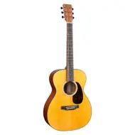 Martin 000JR-10E, Shawn Mendes