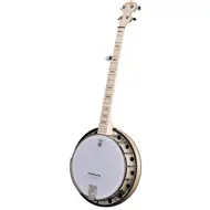 Deering Goodtime Two Banjo with Resonator