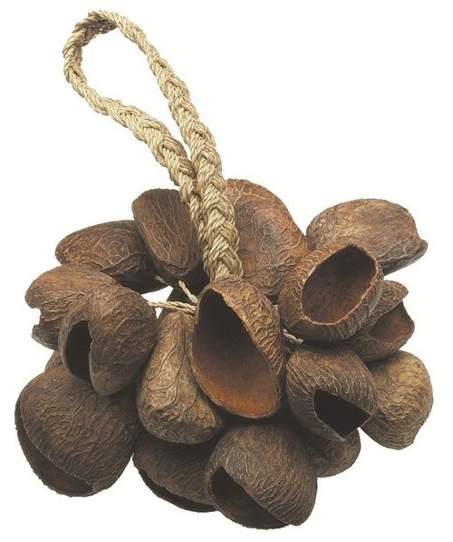 Gewa Toca skeljahristur