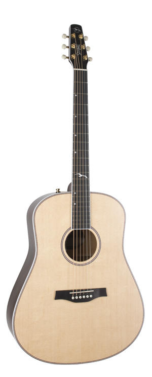 Seagull Artist Mosaic EQ með gigbag