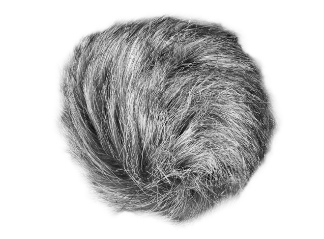 Zoom universal windscreen