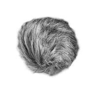 Zoom universal windscreen