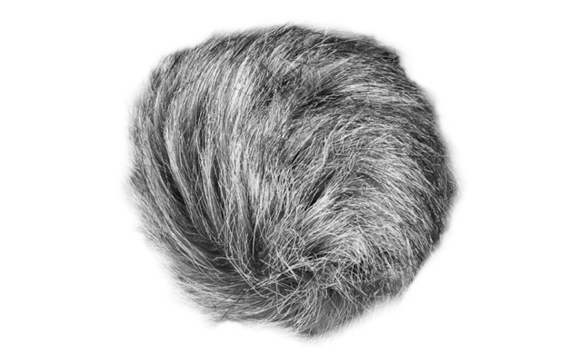 Zoom universal windscreen