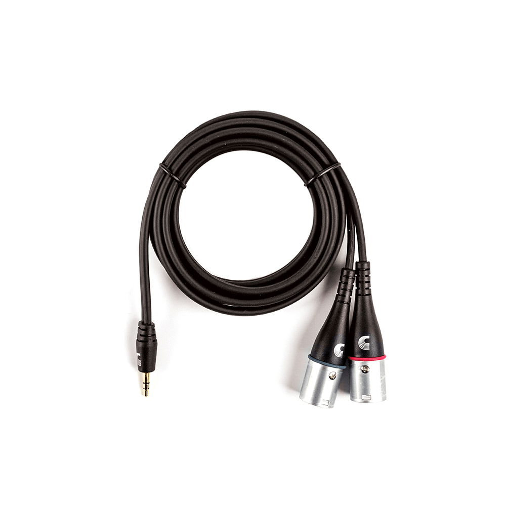 D'Addario 1/8" to dual XLR Audio Cable