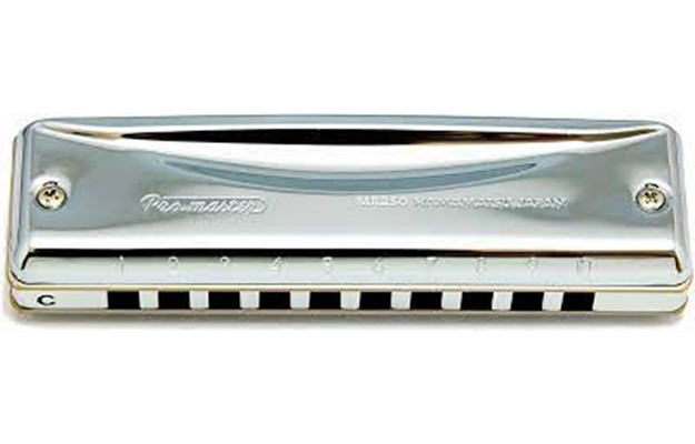 Suzuki Munnharpa Promaster G, 10 gata