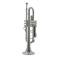P-Trumpet Hytech, silfurlitur