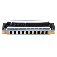 Suzuki Munnharpa Manji Eb, 10 gata
