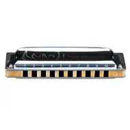 Suzuki Munnharpa Manji Eb, 10 gata
