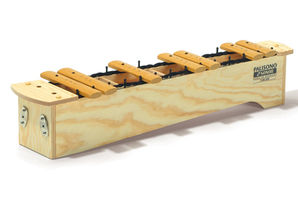 Palisono SKX 200 Soprano krómatík box