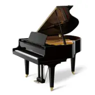 Kawai GL-30 flygill, 166 cm