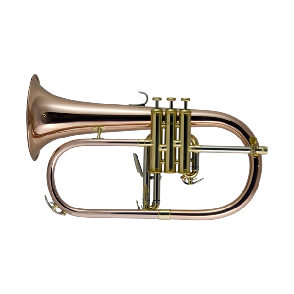 John Packer Bb Flugel horn, Rose Brass