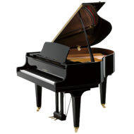 Kawai GL-10 flygill, 153 cm