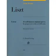 Liszt: At the Piano